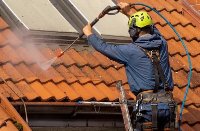 Démoussage et hydrofuge de toiture au Bizot